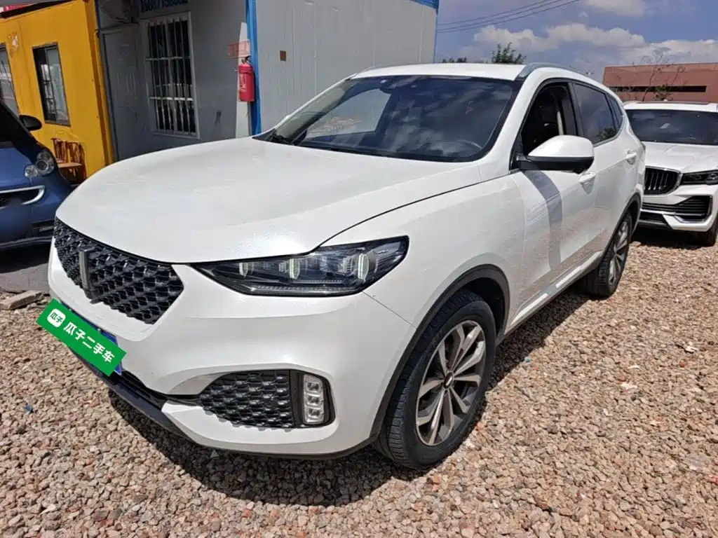 Wey Wey VV6