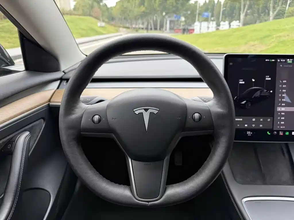 Tesla Model 3 — миниатюра 11
