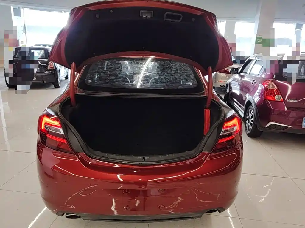 Buick Regal — миниатюра 19