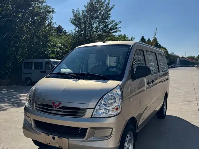 WULING AUTOMOBILE WULING RONGGUANG 2019
