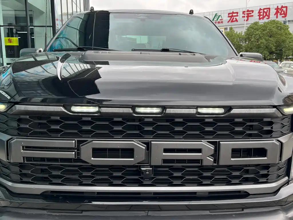 Ford F-150 Raptor — миниатюра 18