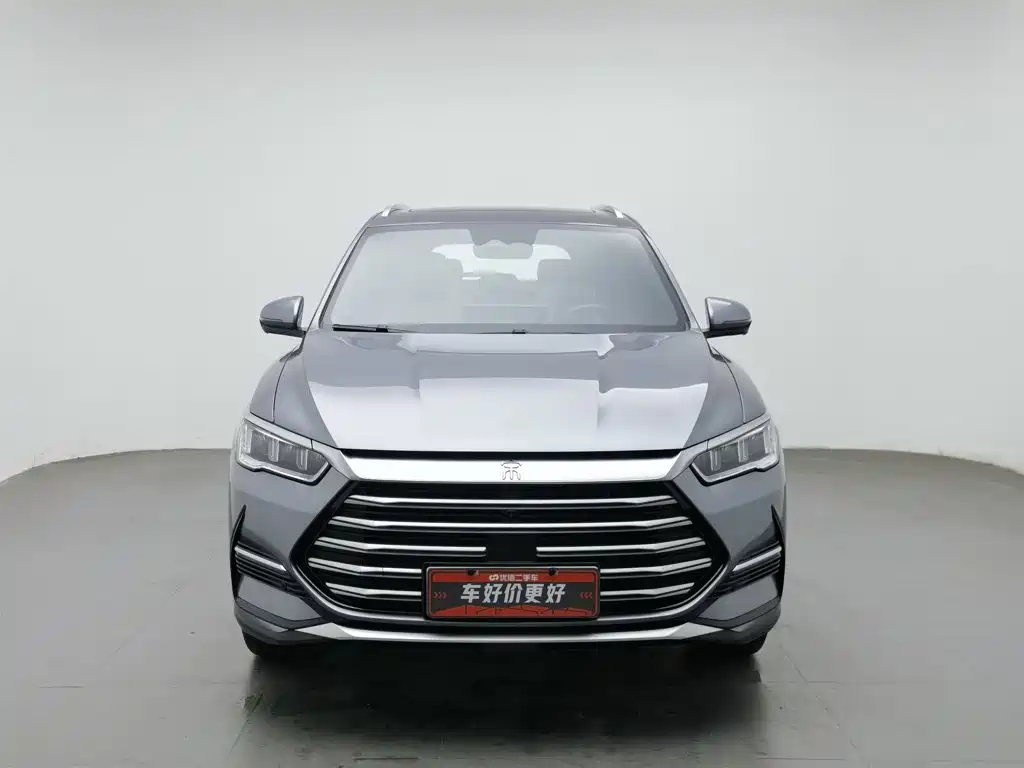 BYD Pro New Energy — миниатюра 3