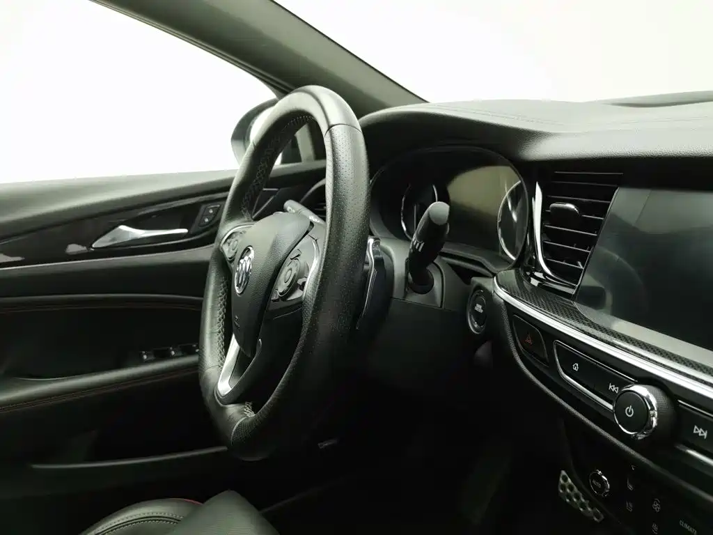 Buick Regal — миниатюра 22