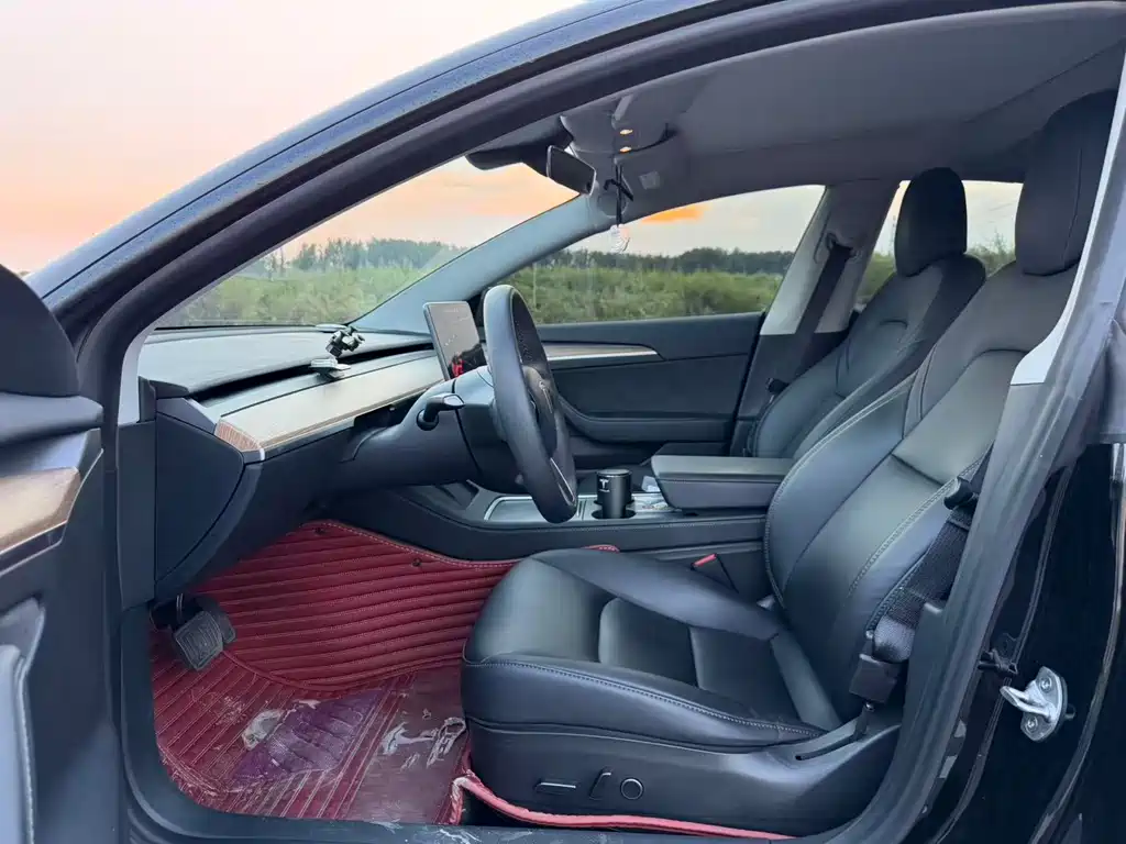 Tesla Model 3 — миниатюра 5