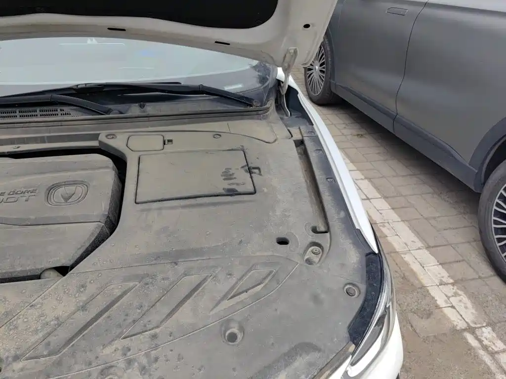 Changan Ruicheng CC — миниатюра 21