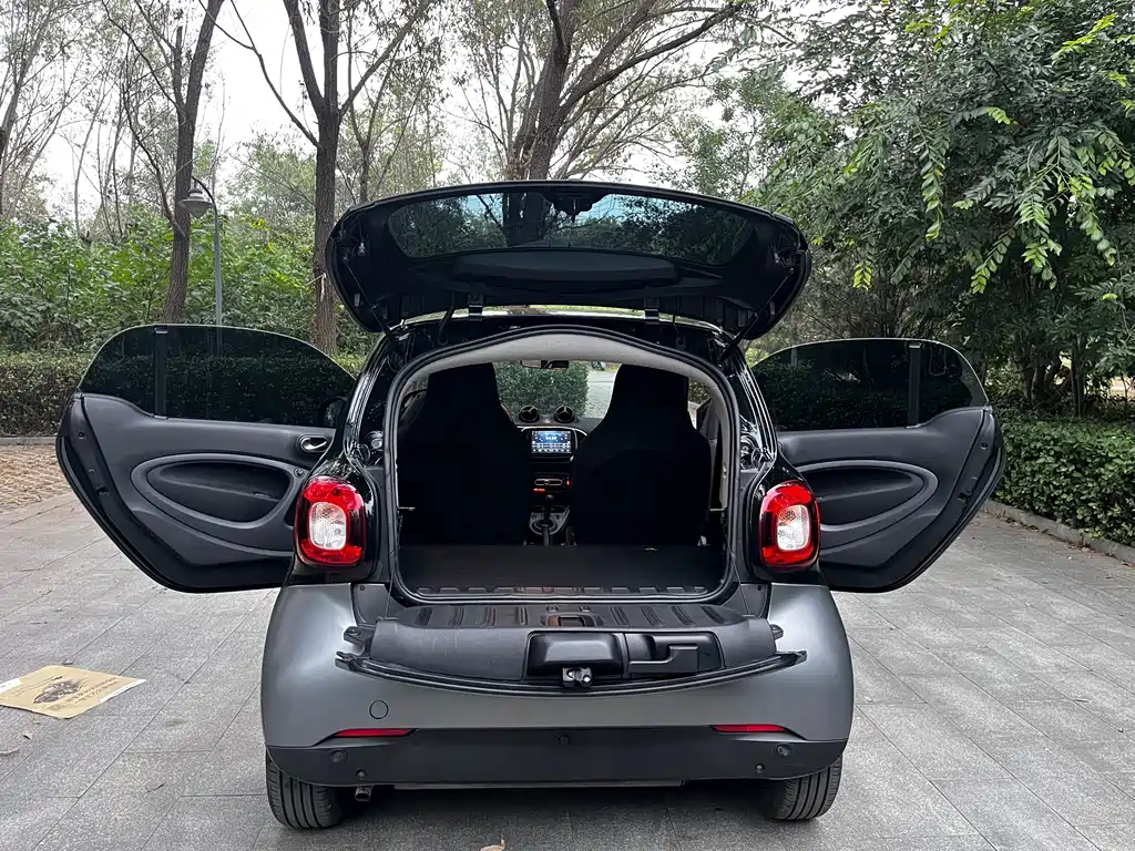 smart Smart Fortwo — миниатюра 13