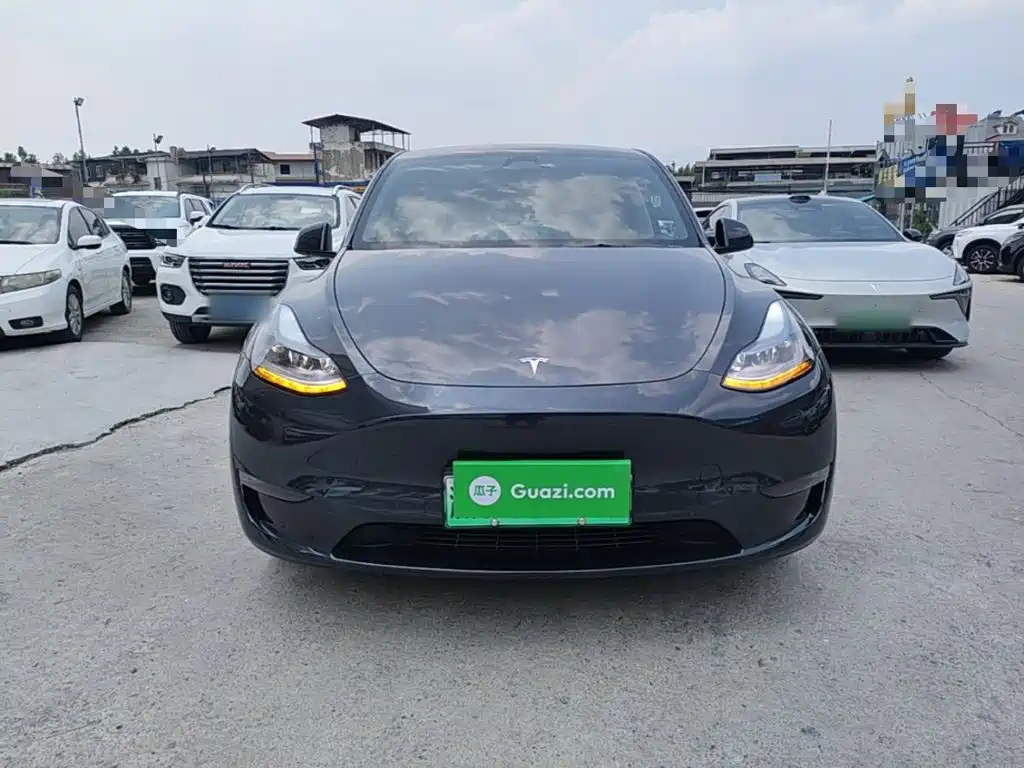 Tesla Model Y — миниатюра 3