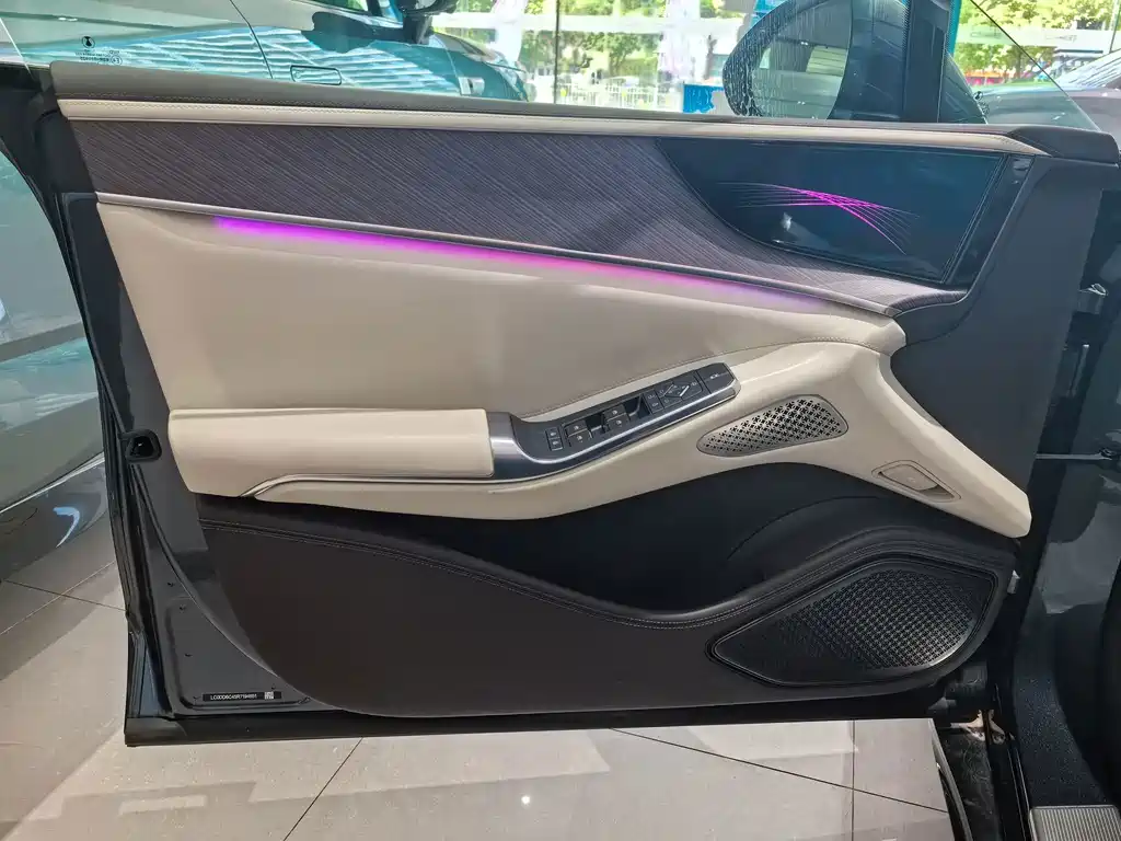 Denza Denza Z9 — миниатюра 5