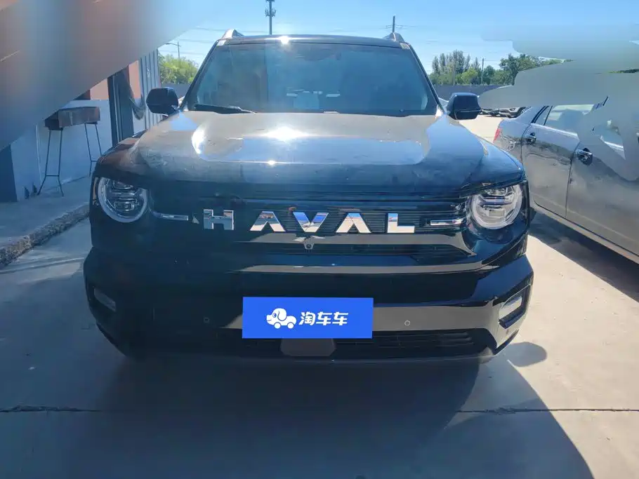 Haval Big Dog PLUS — миниатюра 2