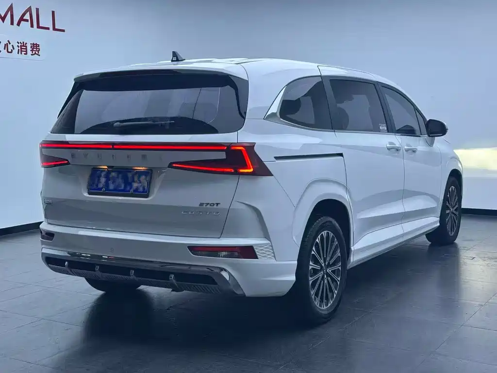 Hyundai Custo — миниатюра 6
