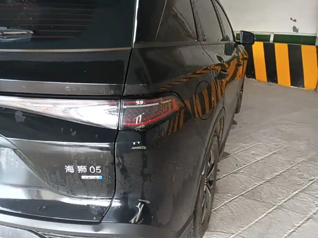 BYD Sealion 05 DM-i — миниатюра 8