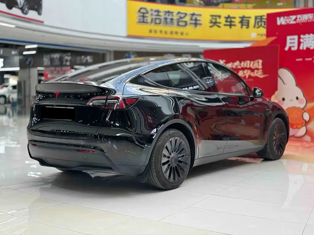 Tesla Model Y — миниатюра 9