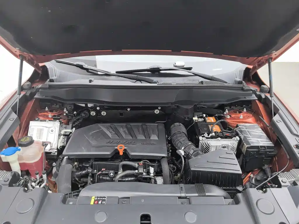Haval Big Dog — миниатюра 6