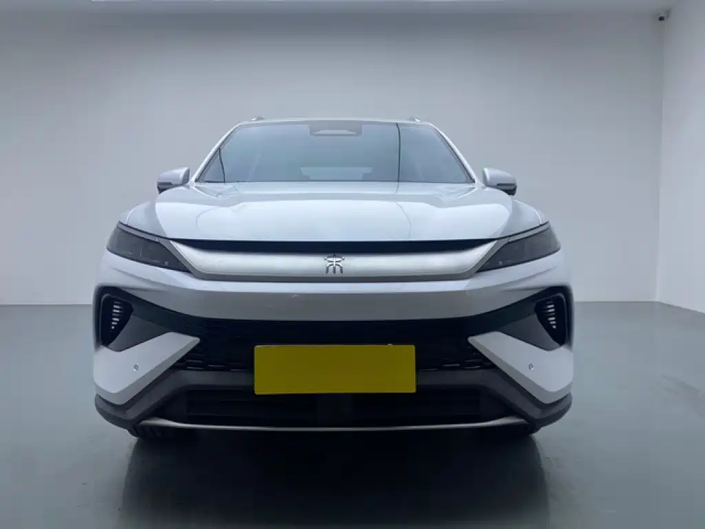 BYD Pro New Energy — миниатюра 2