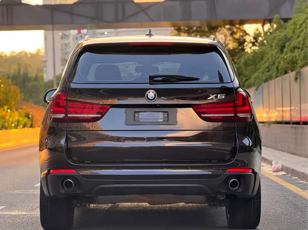 BMW X5 (Import) — миниатюра 7