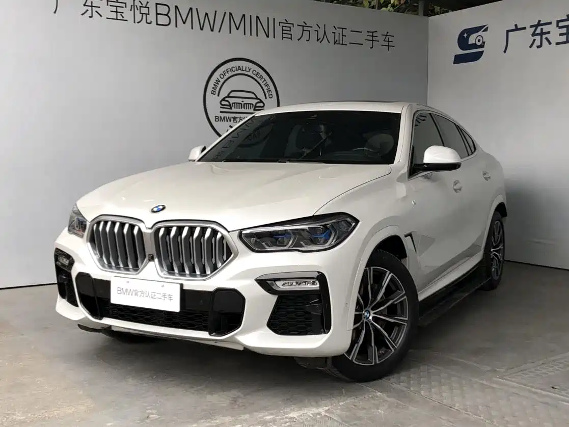 BMW X6