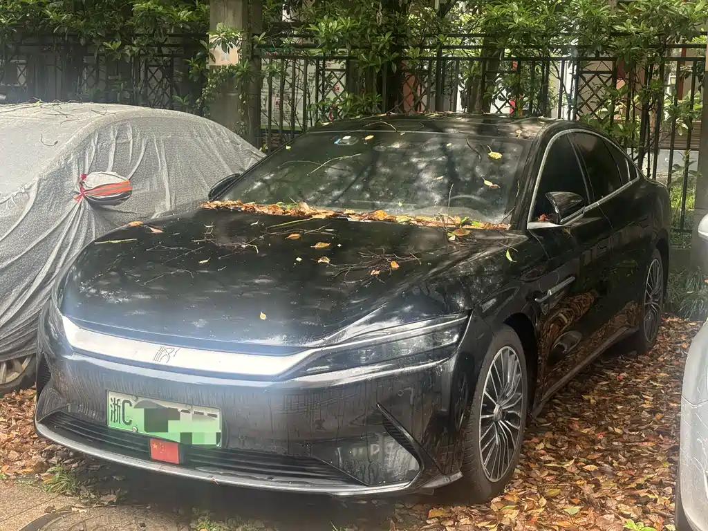 Byd Han 2021