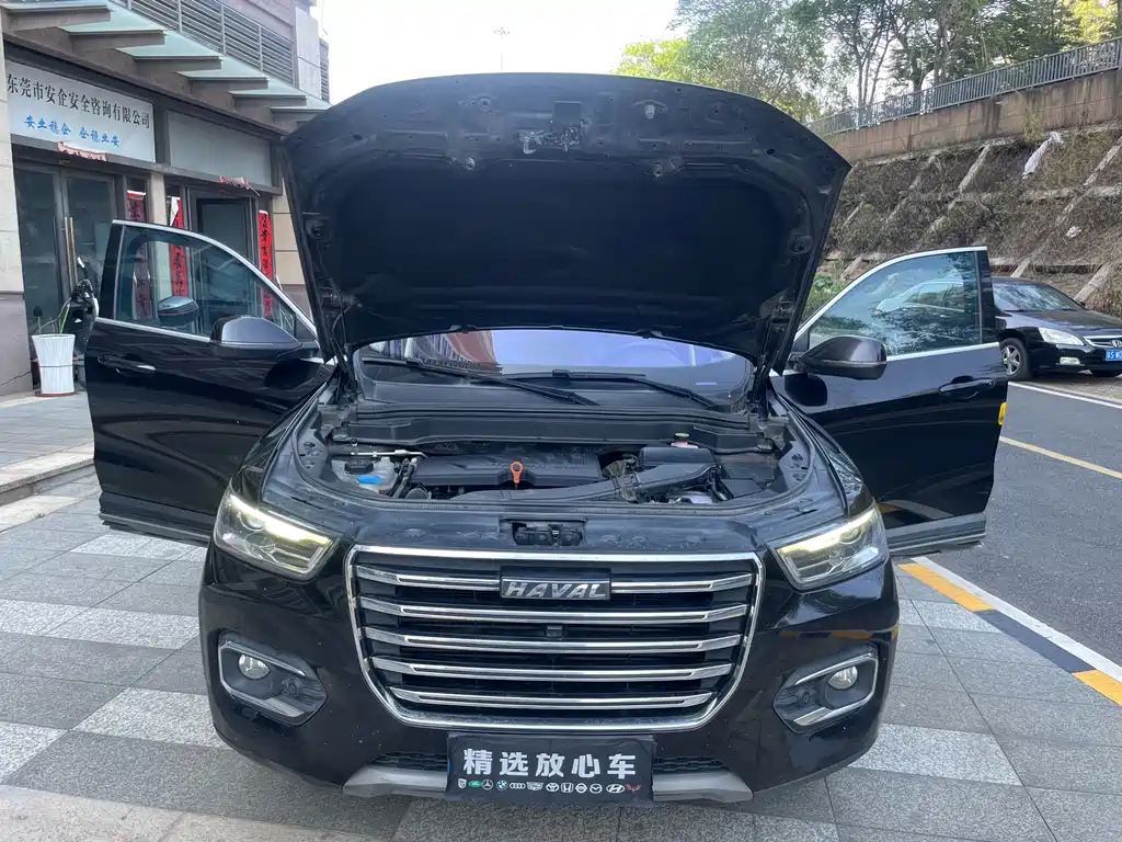 HAVAL H6