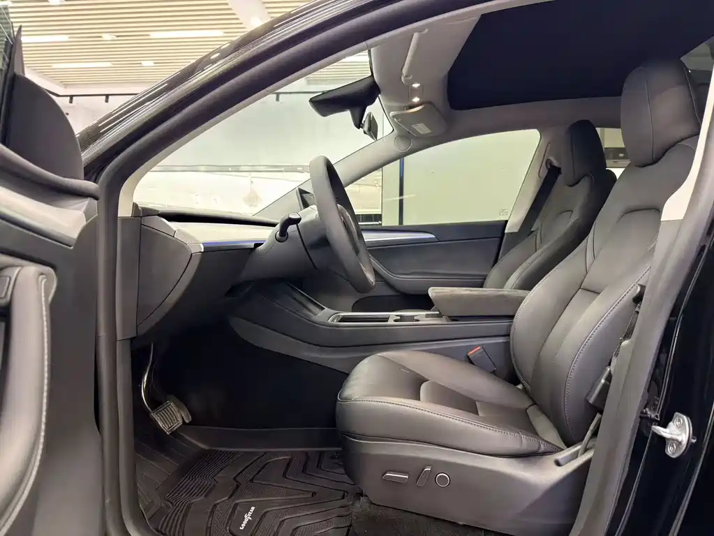 Tesla Model Y — миниатюра 6