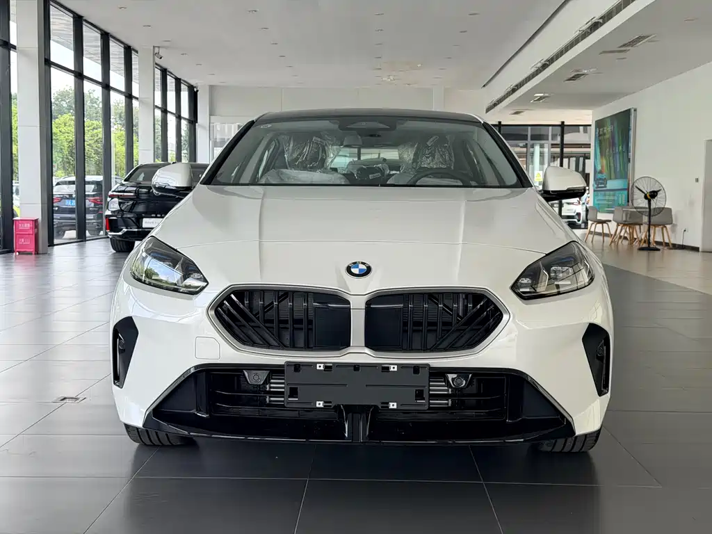 BMW 2 Series — миниатюра 2
