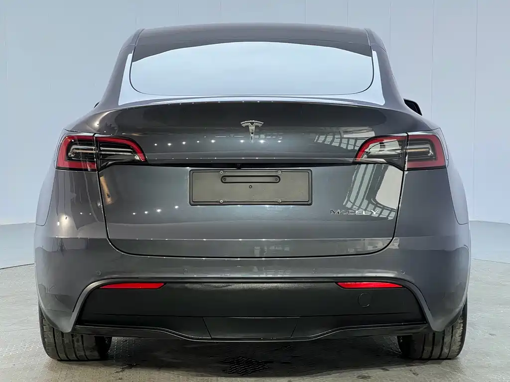 Tesla Model Y — миниатюра 22