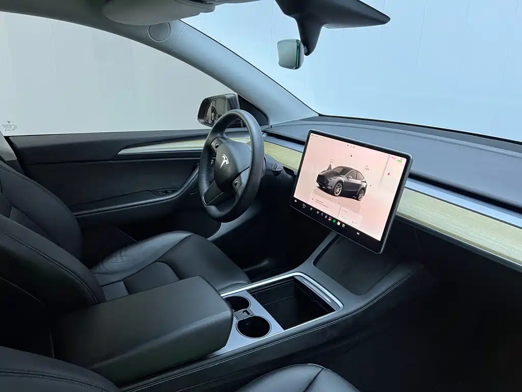 Tesla Model Y — миниатюра 8