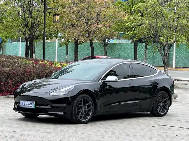 TESLA MODEL 3 2020
