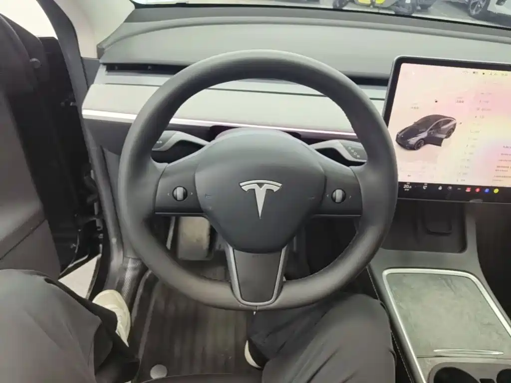 Tesla Model Y — миниатюра 11