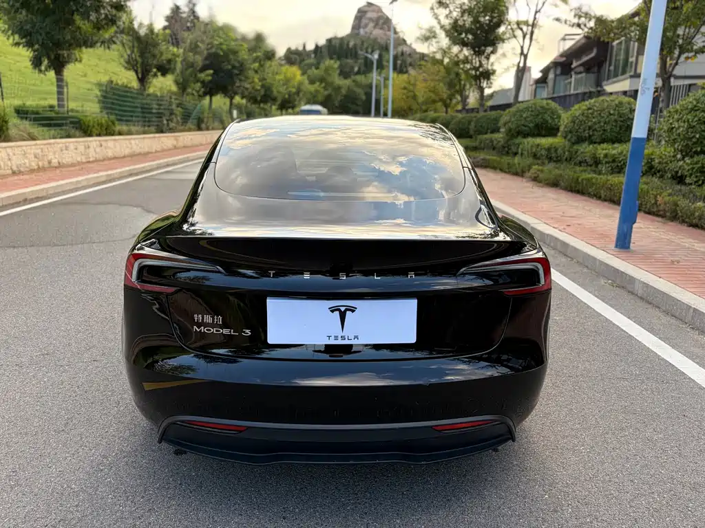 Tesla Model 3 — миниатюра 6