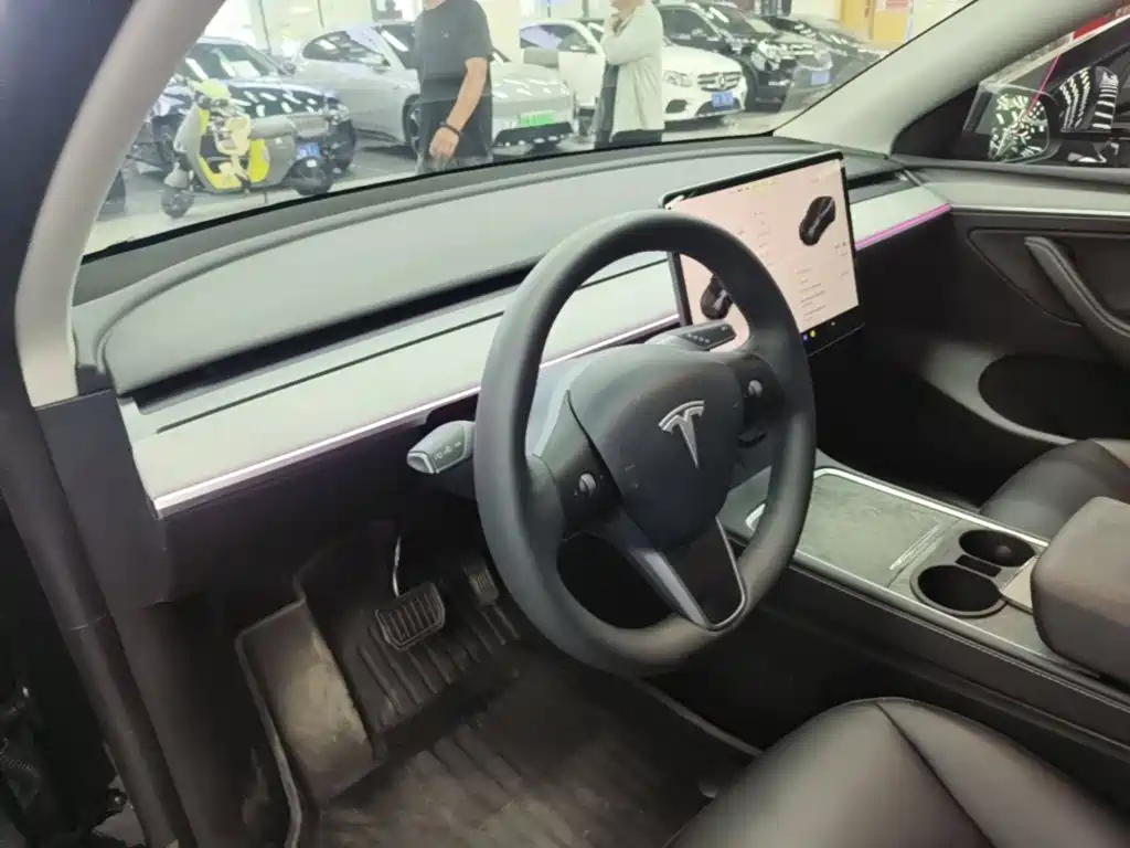 Tesla Model Y — миниатюра 10
