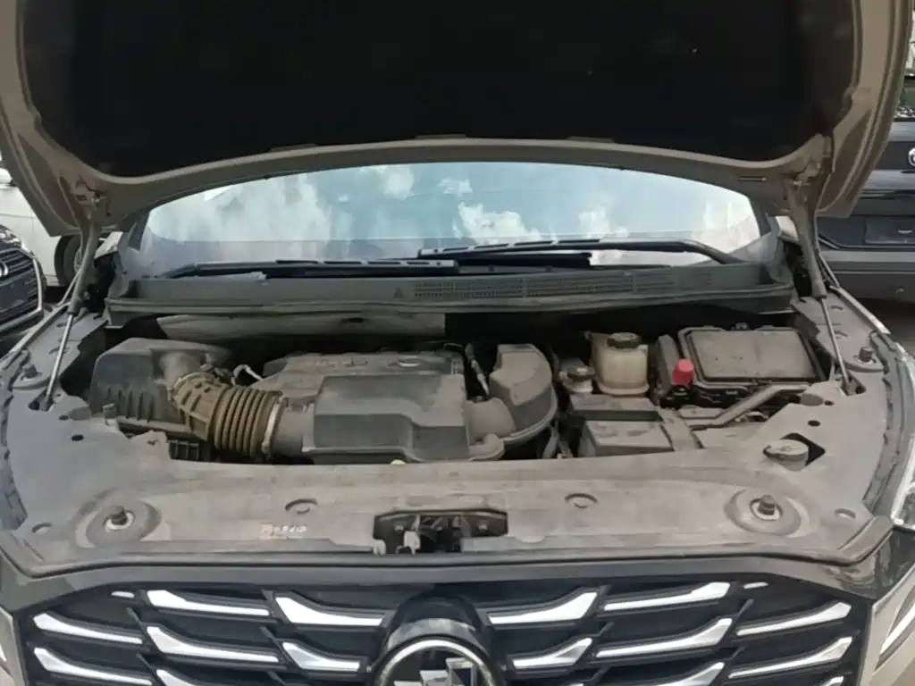 Buick GL8 — миниатюра 20