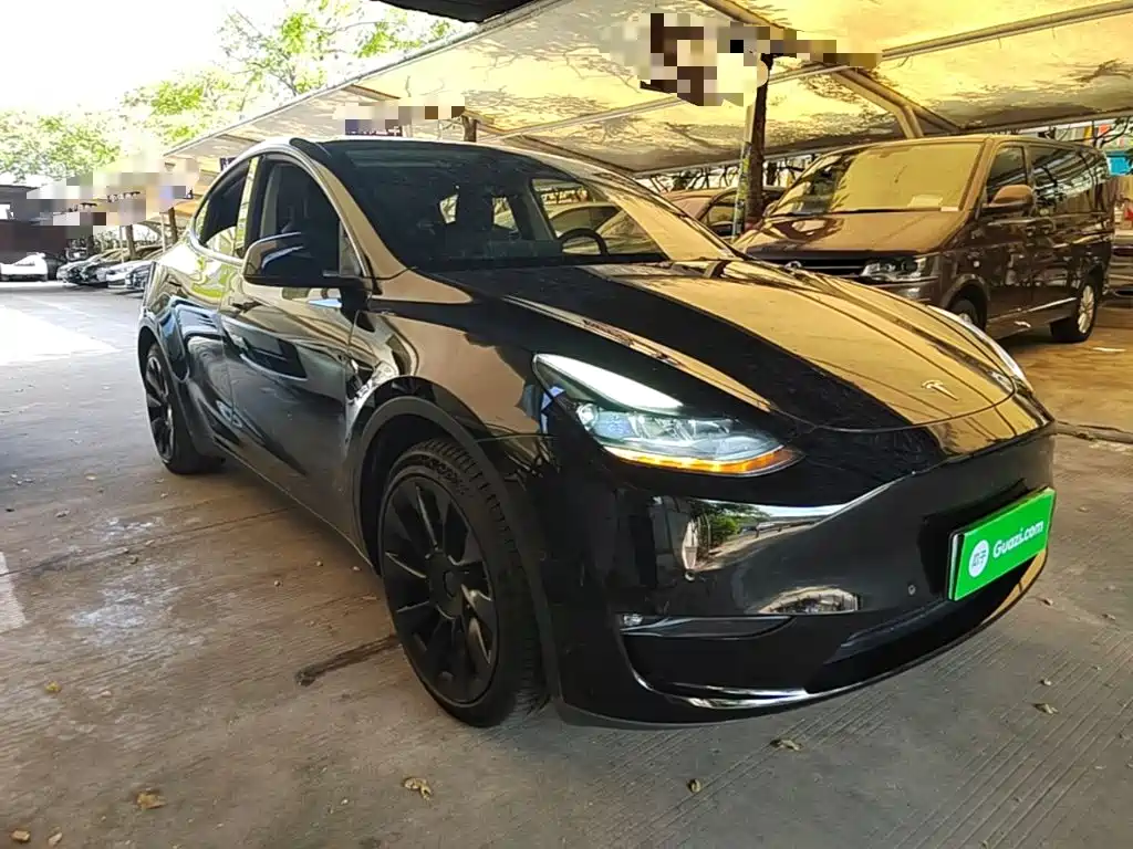 Tesla Model Y — миниатюра 4