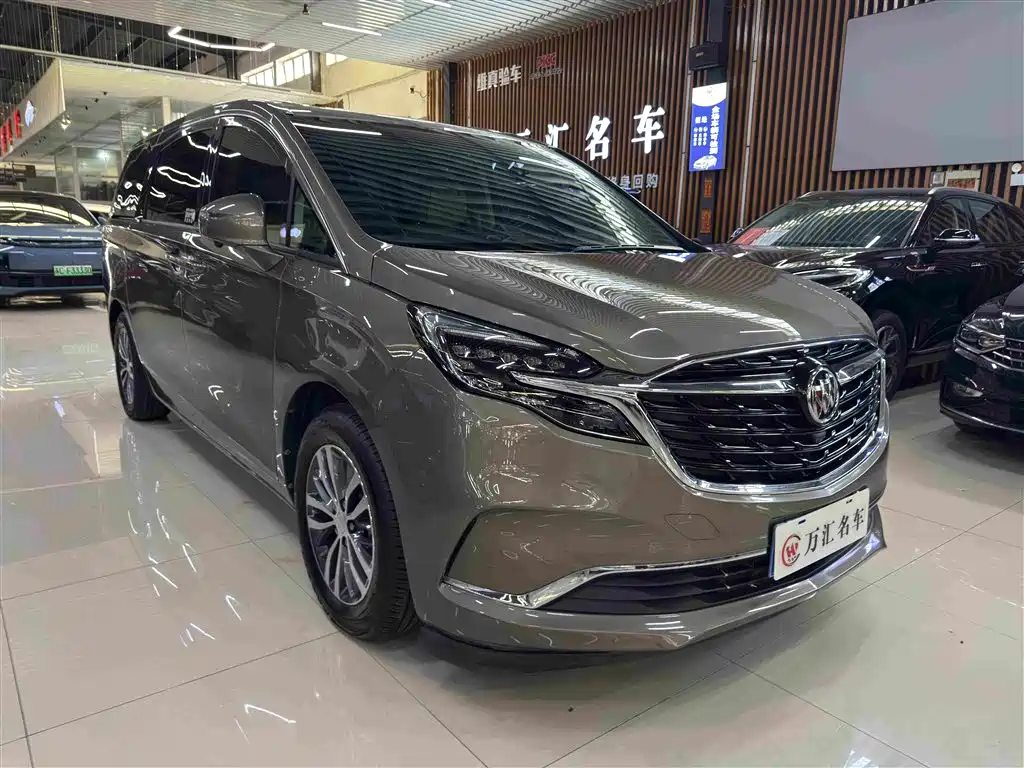 Buick GL8 — миниатюра 3
