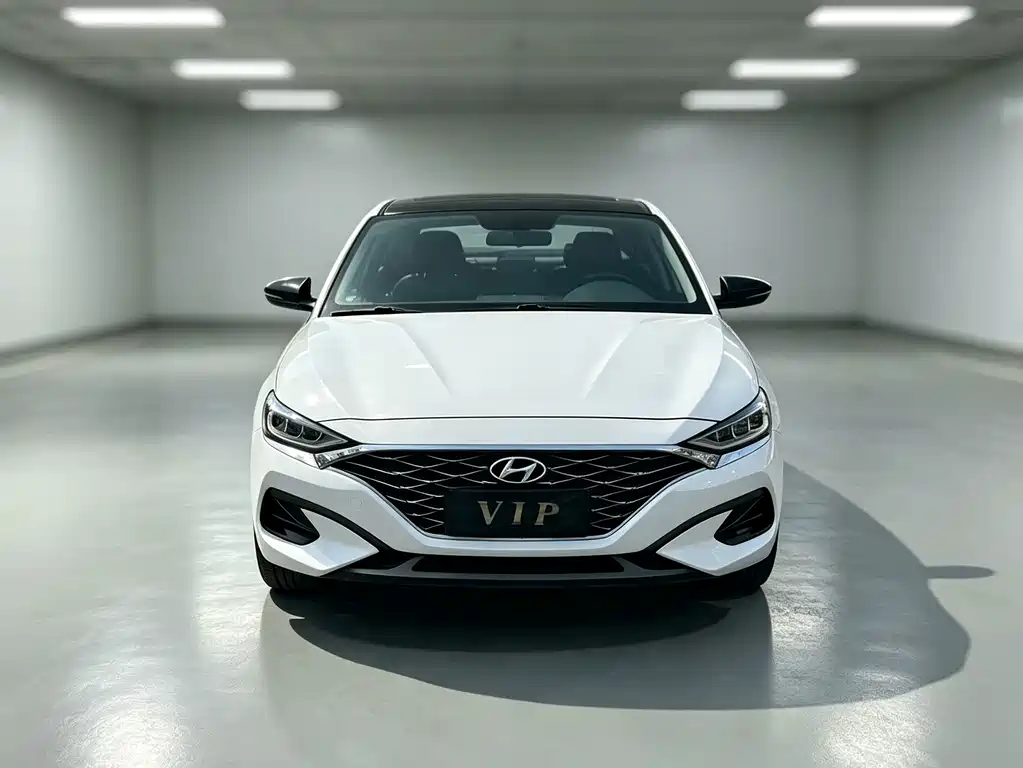 Hyundai Fista — миниатюра 2