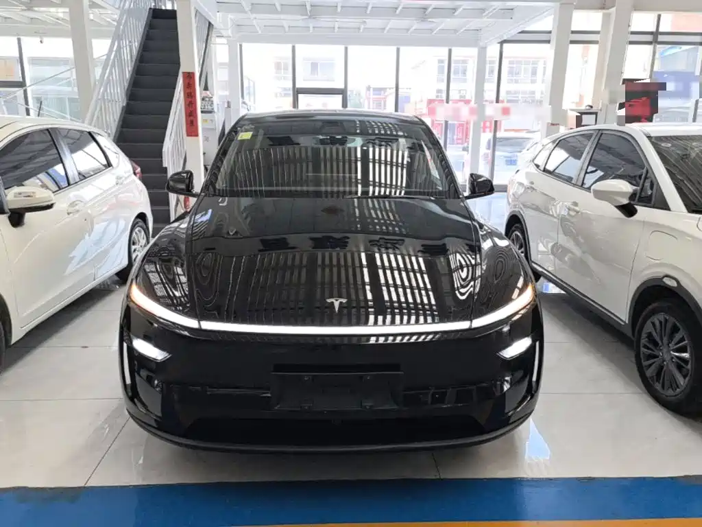 Tesla Model Y — миниатюра 3