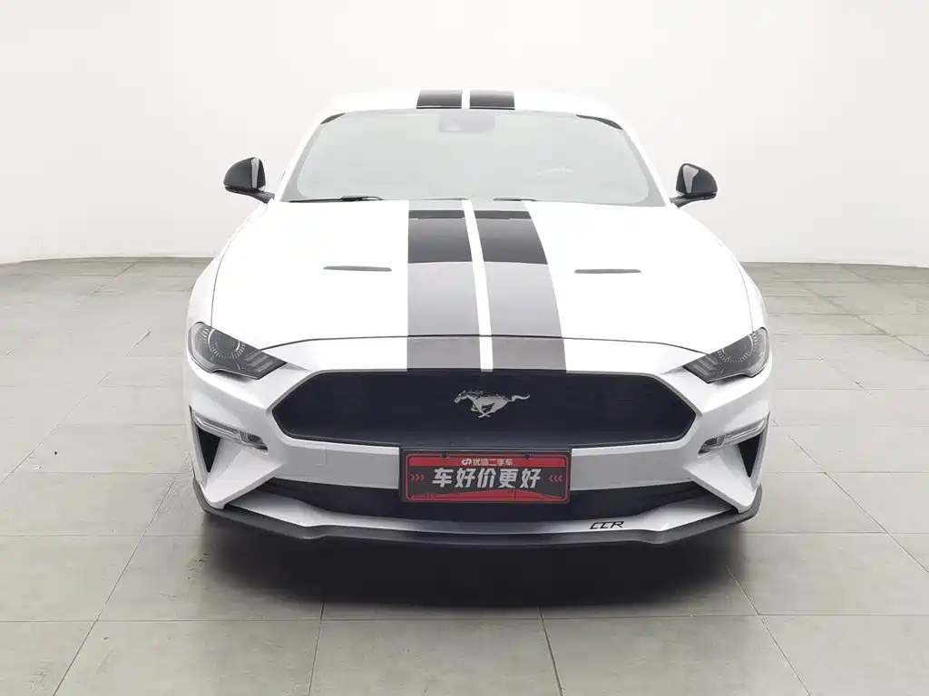 Ford Mustang — миниатюра 3