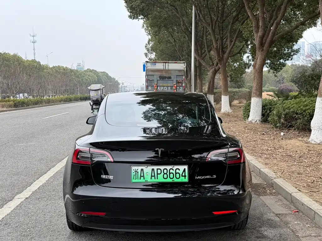 TESLA MODEL 3