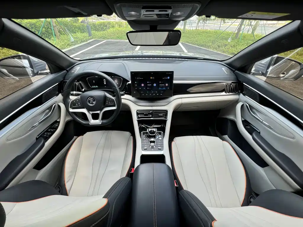 BYD PLUS New Energy — миниатюра 17