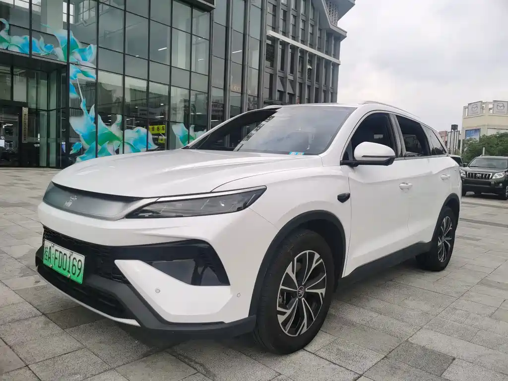 BYD Pro New Energy