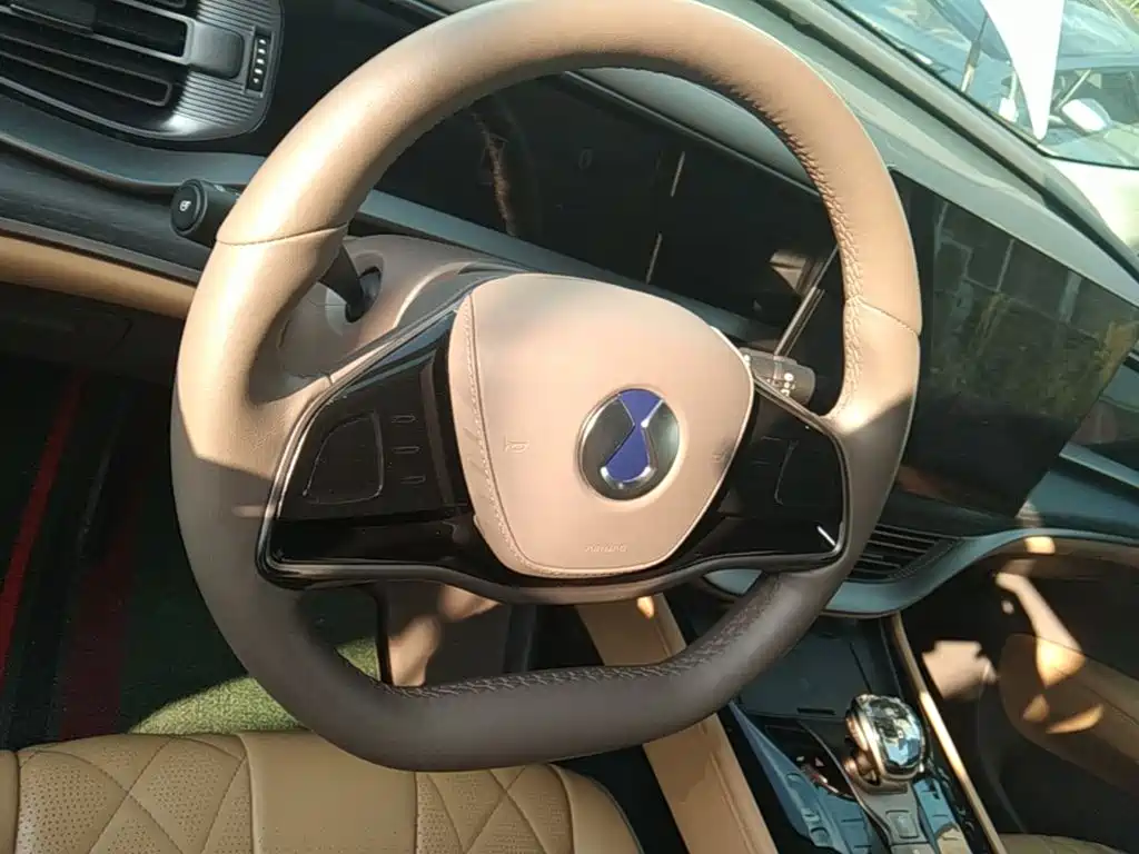 Denza Denza D9 — миниатюра 11