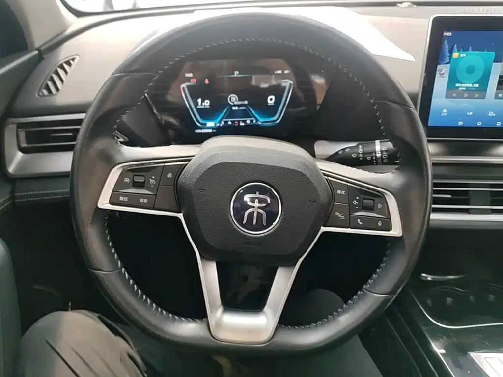 BYD Pro — миниатюра 11