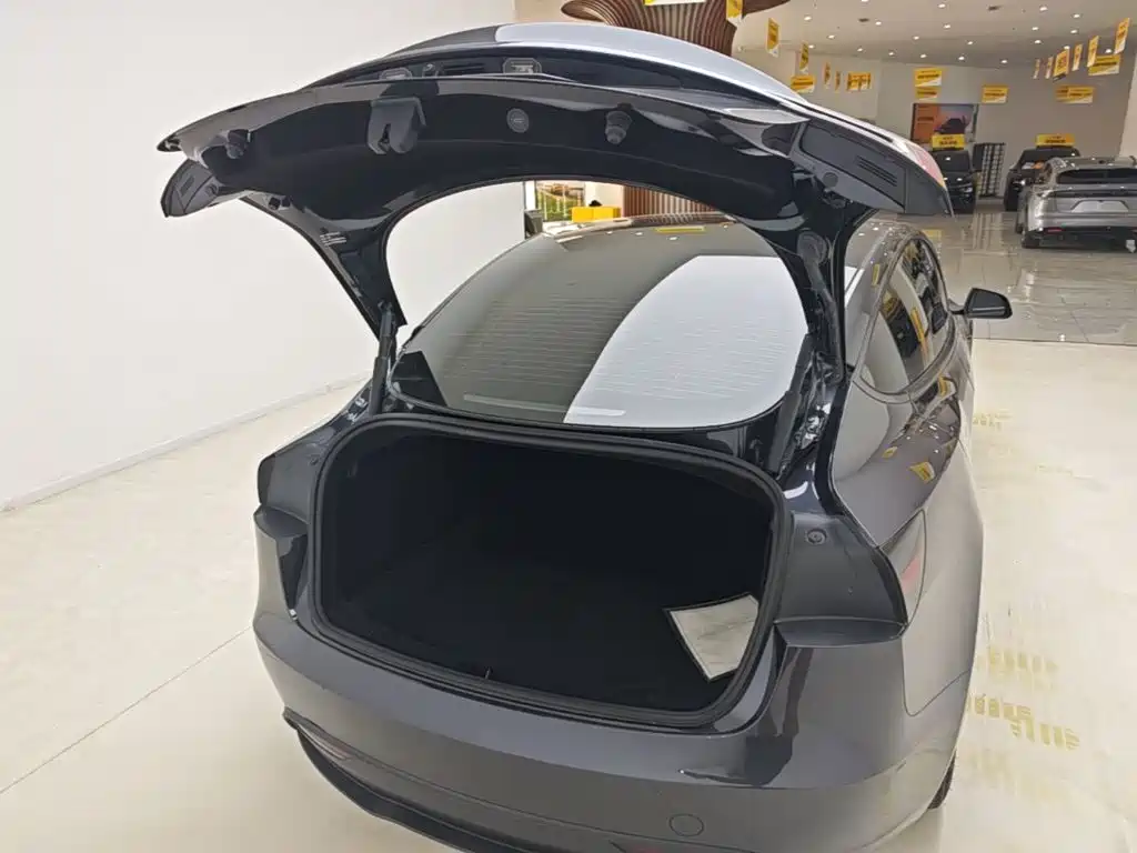Tesla Model 3 — миниатюра 19