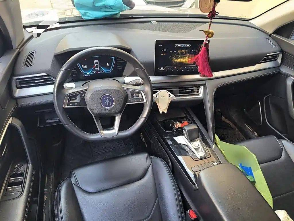 BYD Pro — миниатюра 6