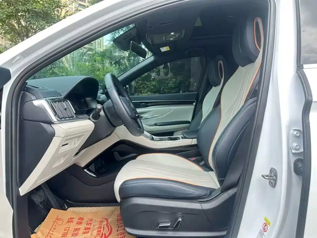 BYD PLUS New Energy — миниатюра 5