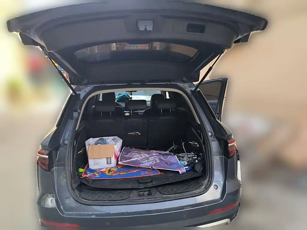 BYD Pro — миниатюра 16