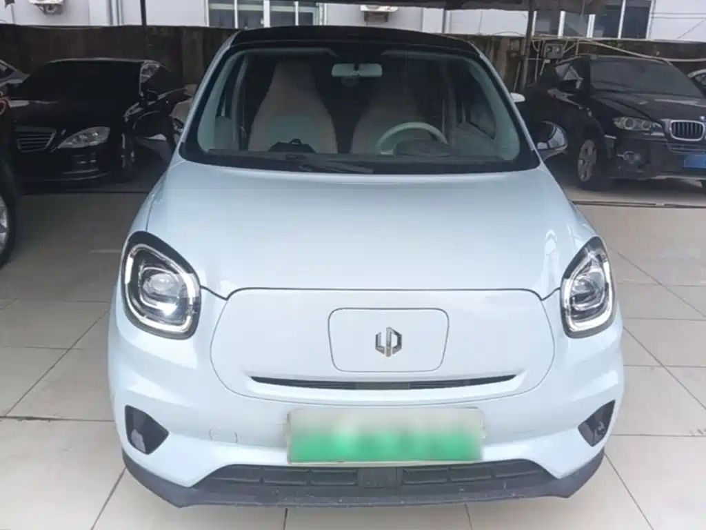 Leapmotor T03 2025 310