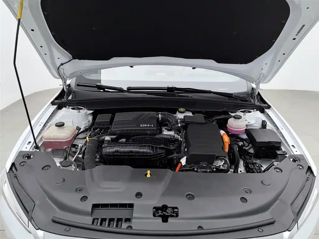 BYD Qin Plus PLUS 2023 Champion DM-i 55KM