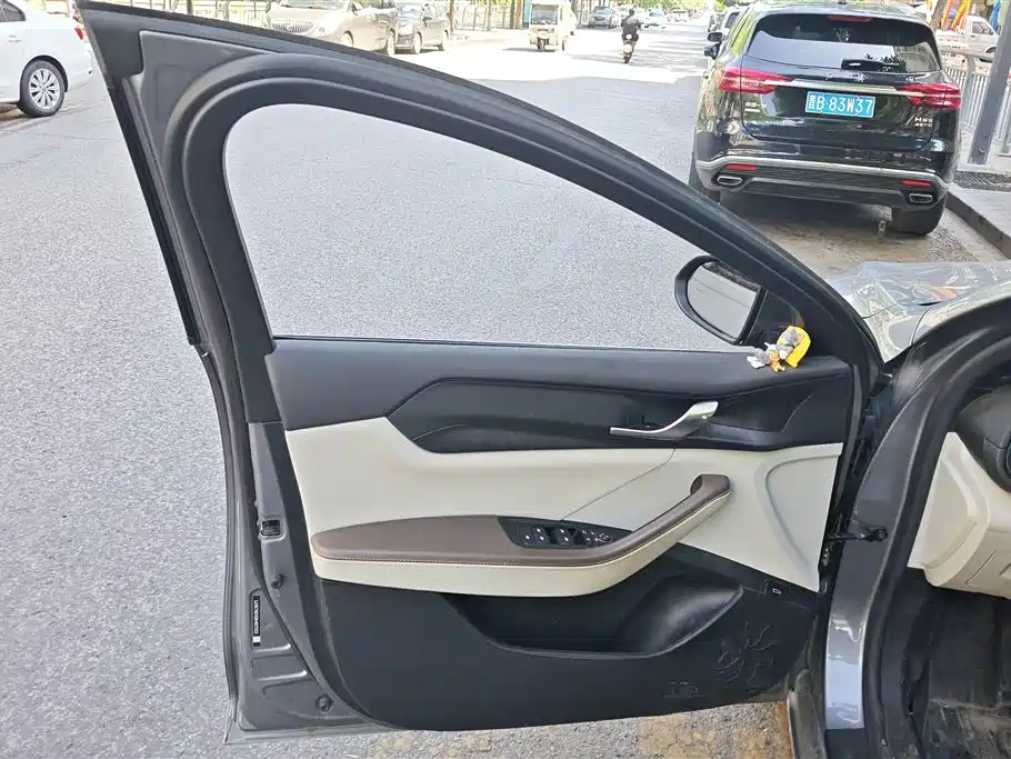 BYD Qin Plus PLUS 2024 DM-i 55KM Lead