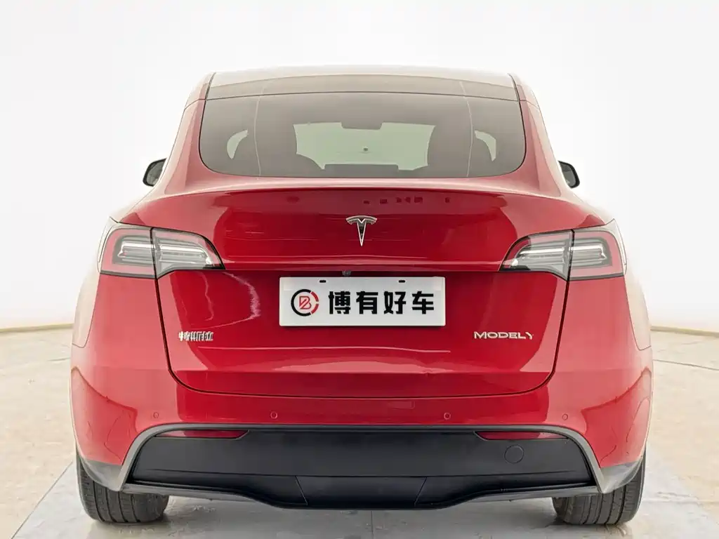 Tesla Model Y — миниатюра 14