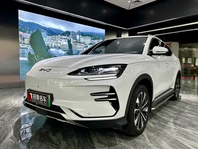BYD SONGJIANG NEW ENERGY 2024